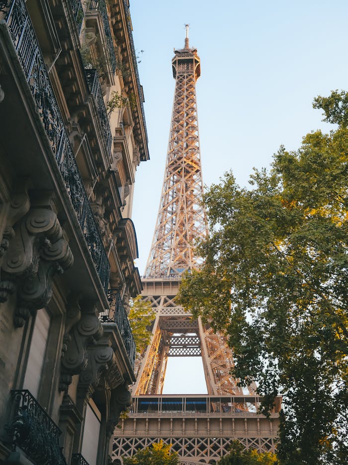 home-hero View of the Eiffel Tower through historic Parisian buildings surrounded by trees at sunset.