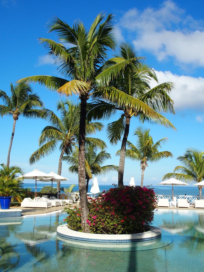 services-01 Serene tropical poolside scene with palm trees and ocean view ideal for relaxation and leisure.