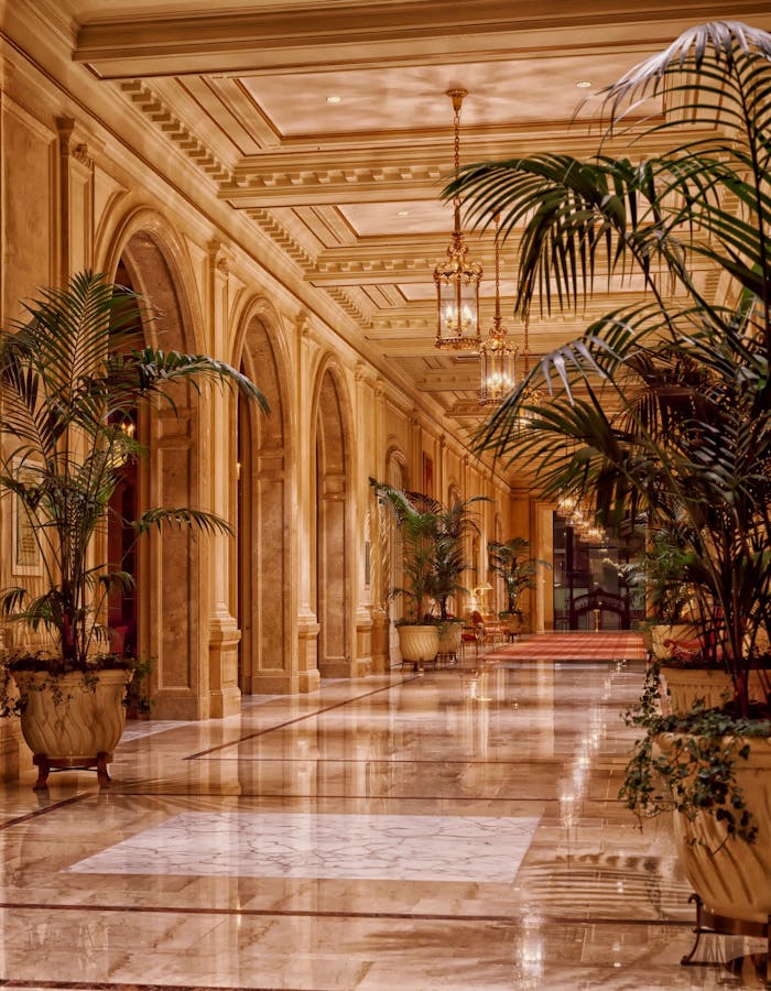 Mastering the First Impression: Your intriguing post title goes here Luxurious hotel lobby featuring elegant lighting and marble flooring, accented by lush indoor plants.